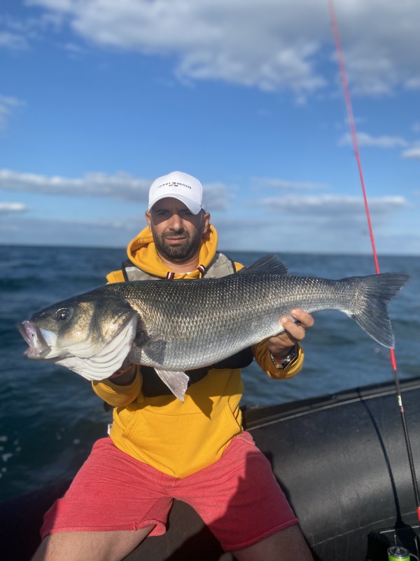 Prise de pêche lors d'une sortie avec Xavier Gauthier, photo 1, prefailles, destination pornic, activité pêche en mer, 