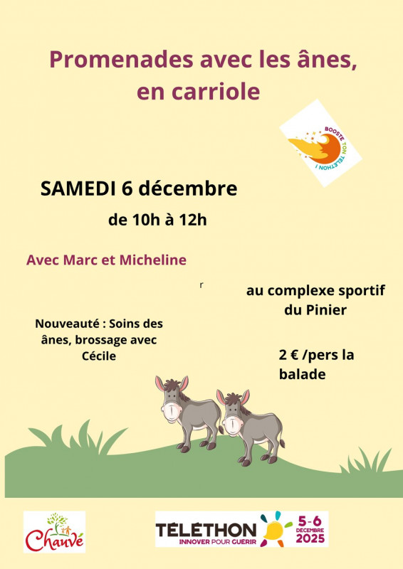 Promenade avec les ânes et en carriole