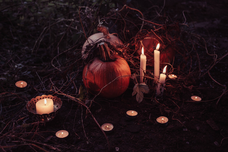 pumpkin-2594747-1920-55604
