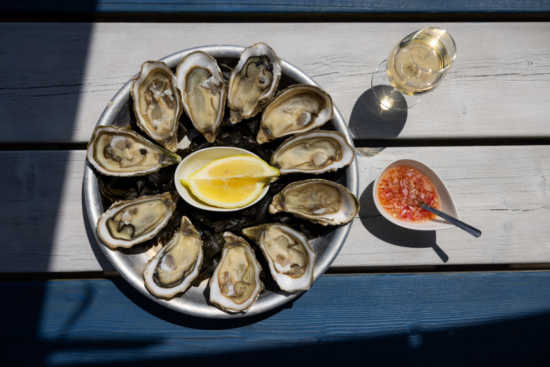 rm-vivier-c-te-de-jade-2024-m-lanie-chaigneau-bd-21-26527-26963-48437