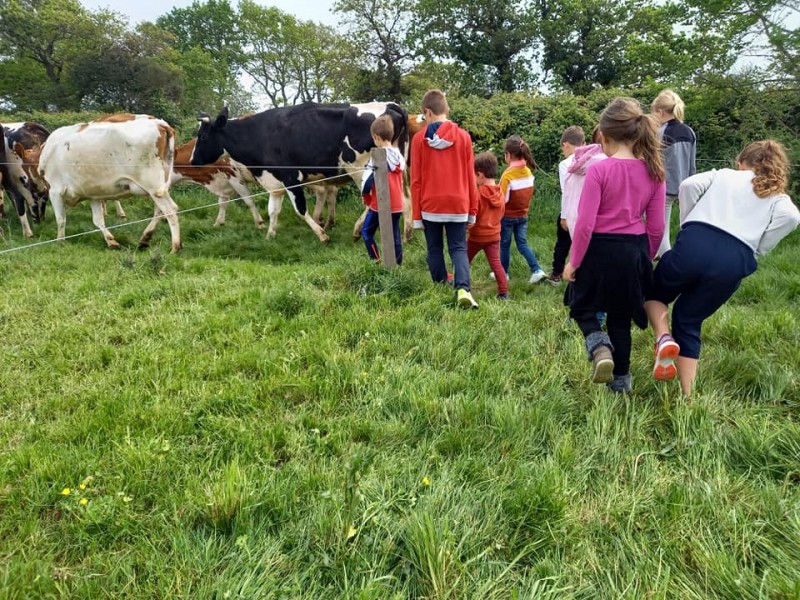 EVEIL A L'ENVIRONNEMENT