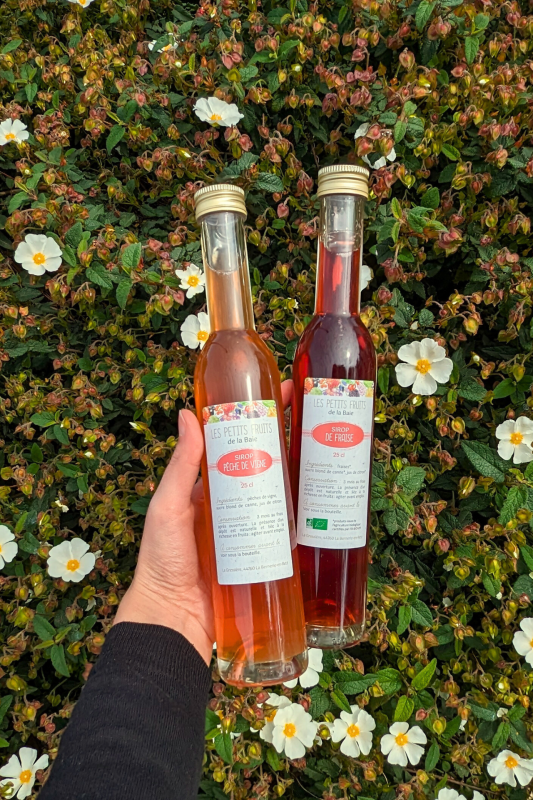 Sirop de pêche de vigne, Les petits fruits de la Baie