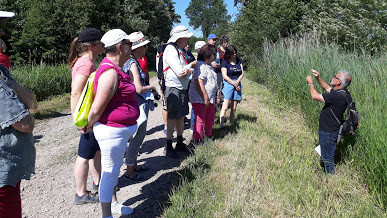 sortie nature, visite guidée, chauvé, destination pornic