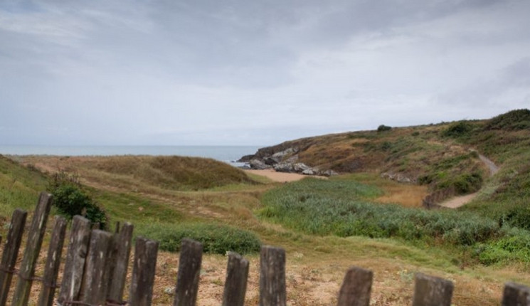 Sortie nature: le Portmain, landes, dune et vallon Pornic