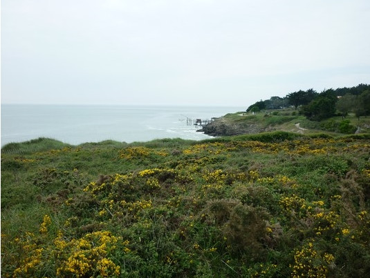 Sortie nature: le Portmain, landes, dune et vallon Pornic