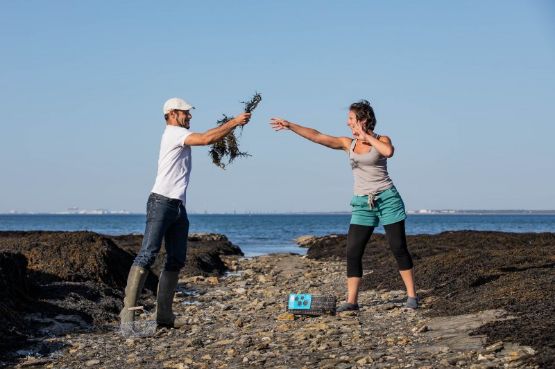 Sortie nature,  Les algues, nouvelles saveurs marines, Echos nature