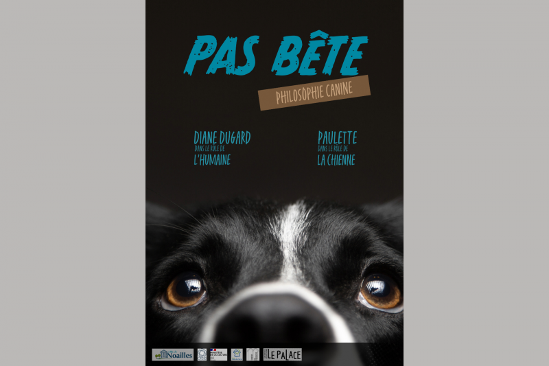 Spectacle jeune public : Pas bête