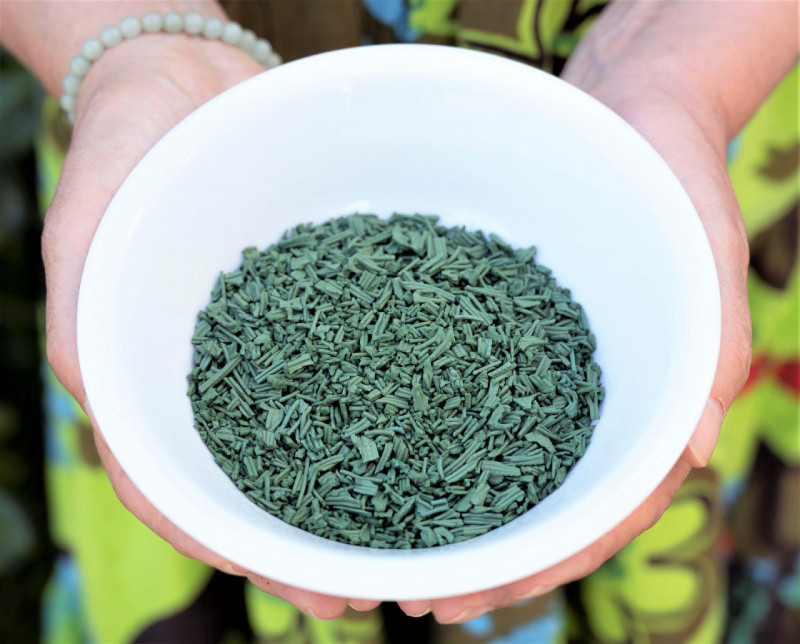 Spiruline et algues de Retz