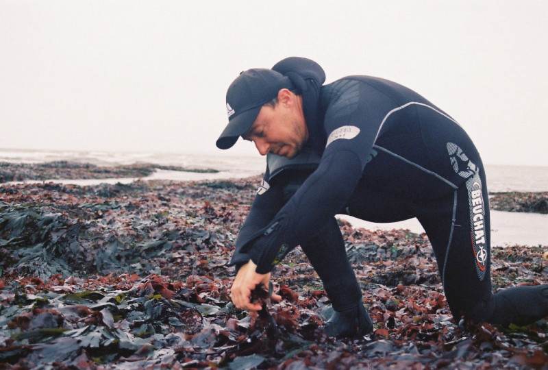 Spiruline et algues de Retz