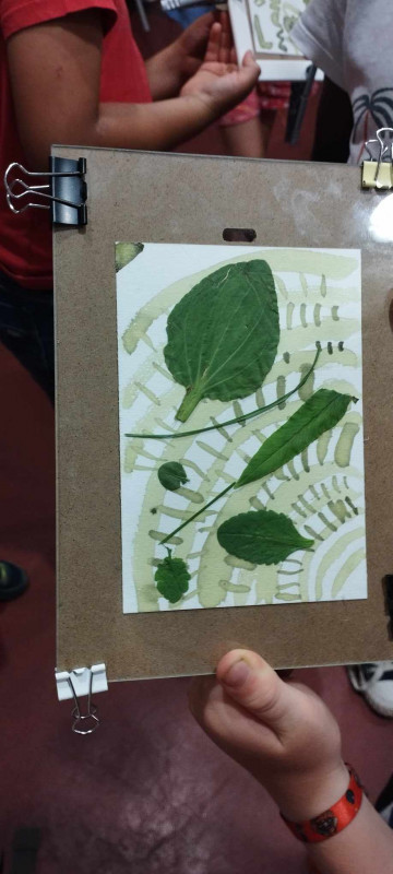 Stage cyanotype des algues et des plantes du littoral pornic