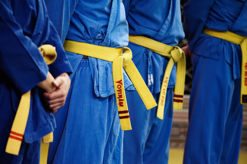 art martial stage vovinam viet vo dao la plaine sur merself défence