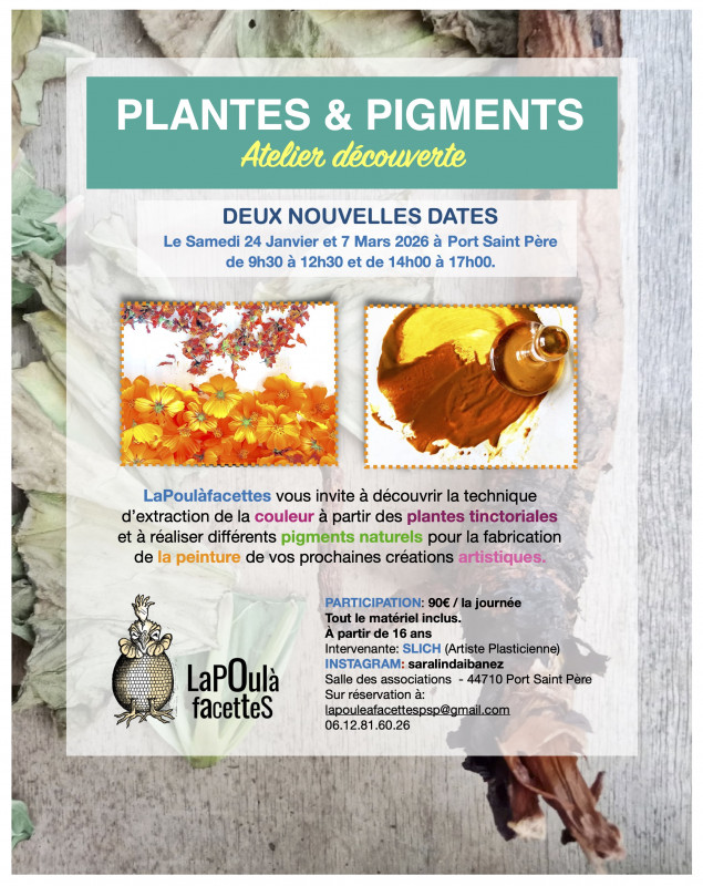 Stage pour découvrir les plantes et les pigments