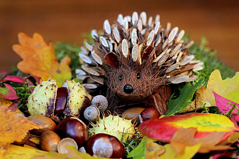Atelier création avec la nature d'automne