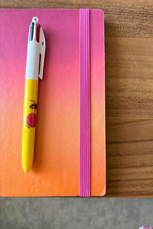 Stylo BIC 4 couleurs, surfeuse