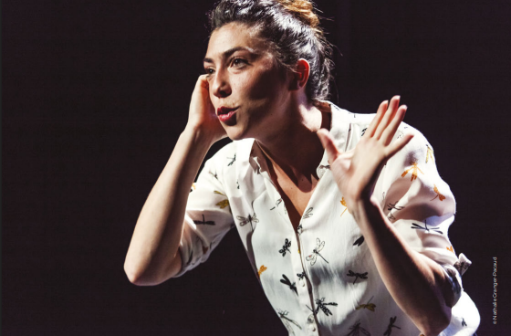 Théâtre humour: G.R.A.I.N, histoire de fous pornic