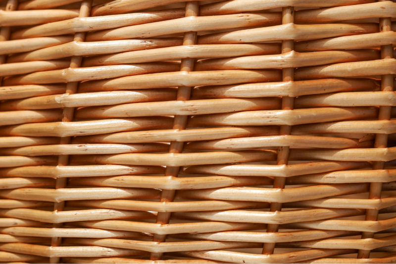 osier rond stage 
