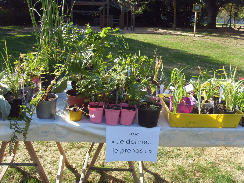 troc plantes la plaine sur mer jardinage potager