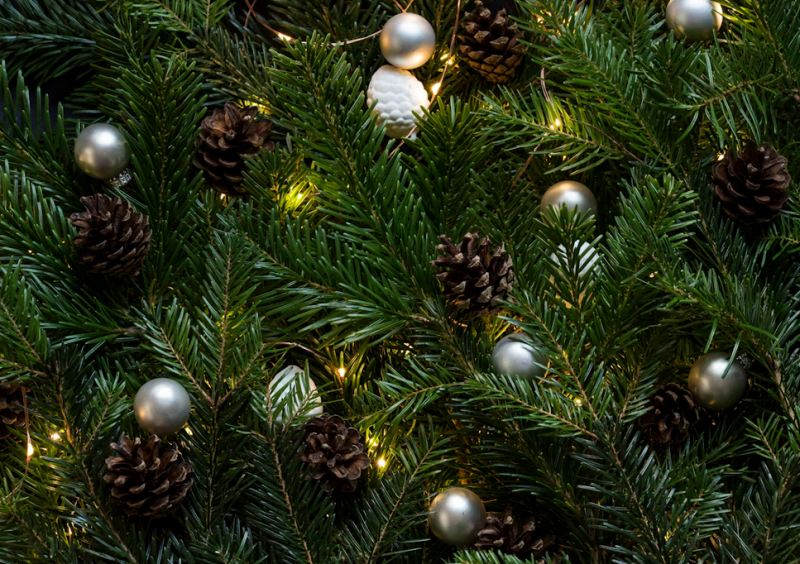 Un Noël féérique à Pornic
