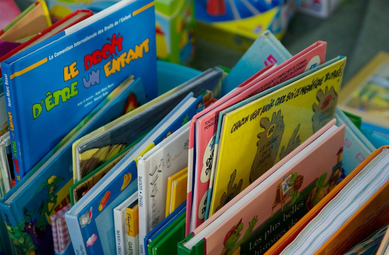 Vide livres à la bibliothèque fresnay en retz villeneuve en retz