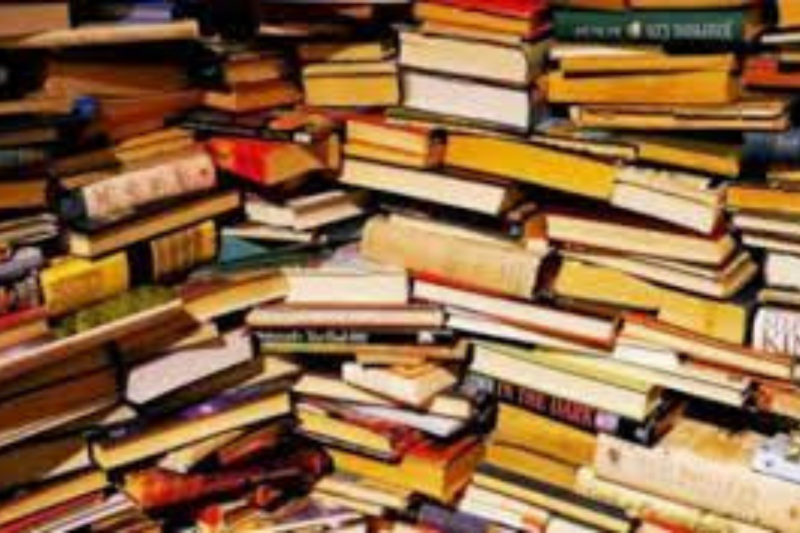 Vide livres convivial