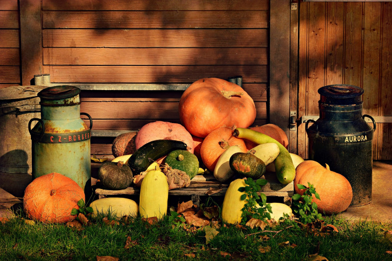 Visite à la ferme spéciale Halloween Sainte-Pazanne