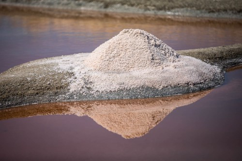 Visite de la saline Tenue de Mareil