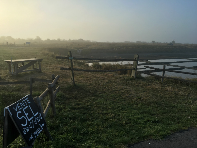 Visite de la saline Tenue de Mareil
