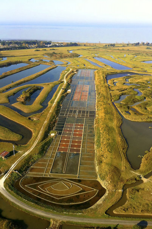 Visite des Salines de Millac marais salants marais breton  bourgneuf en retz villenveuve en retz