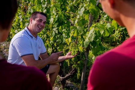 Visite du domaine viticole Le Moulin de la Touche