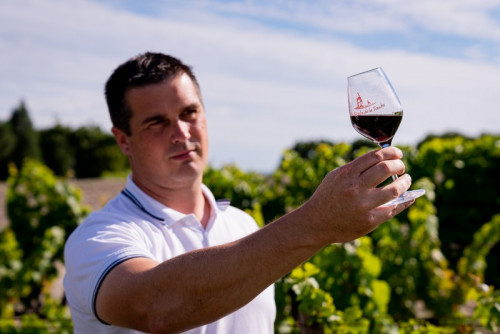 Visite du domaine viticole Le Moulin de la Touche
