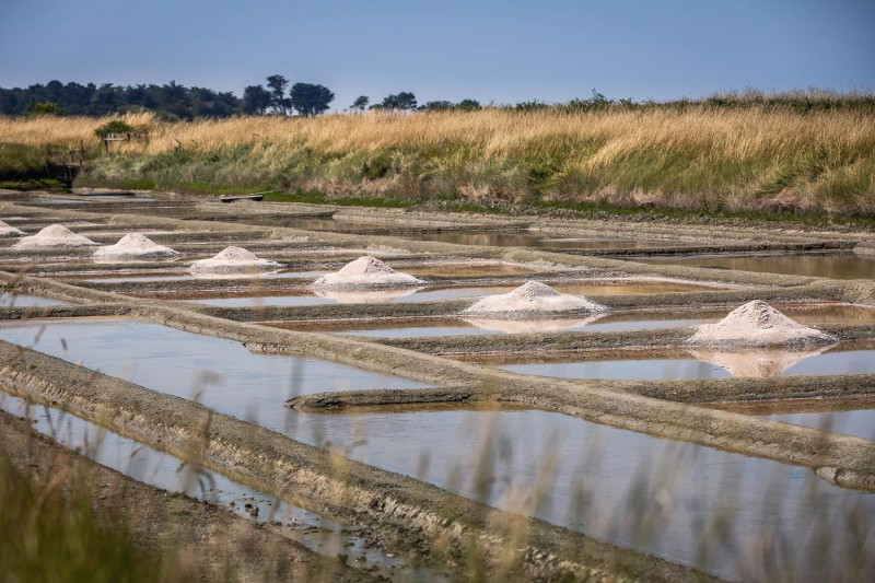 Visite saline Pays de retz Pornic