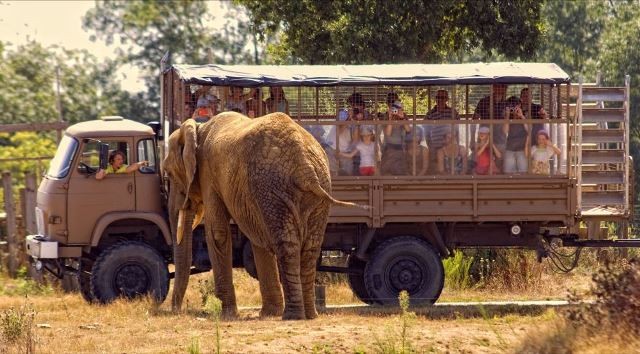 pornic groupe planete sauvage parc animalier dauphin piste safari raid 4x4