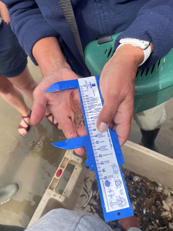 visite écluse à poissons