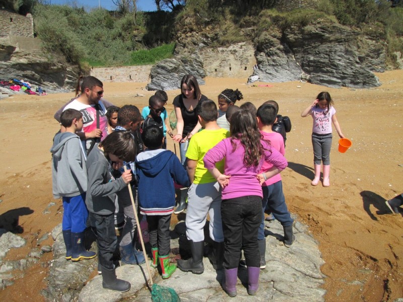 Visite enfant - Pêche à pied et littoral