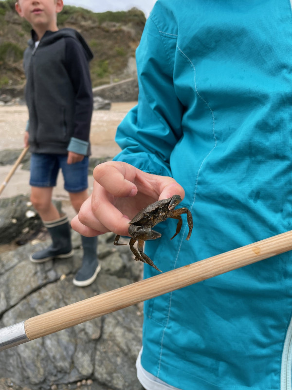 Visite explore la plage à marée basse