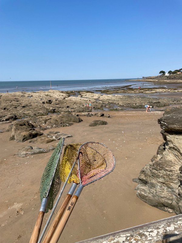 Visite explore la plage à marée basse