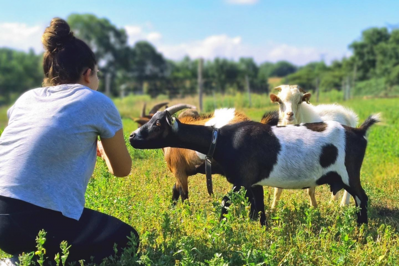 Visite guidée : Et si j'étais agriculteur ?